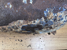 Load image into Gallery viewer, 44445247