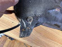 Load image into Gallery viewer, 44446221