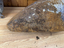 Load image into Gallery viewer, 44445244