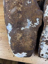 Load image into Gallery viewer, 44445247