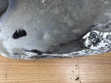 Load image into Gallery viewer, 44445249