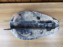 Load image into Gallery viewer, 44445548