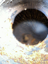 Load image into Gallery viewer, 44445485