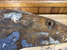 Load image into Gallery viewer, 44445230