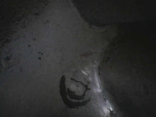 Load image into Gallery viewer, 44446221