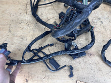 Load image into Gallery viewer, 44445543