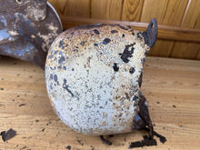 Load image into Gallery viewer, 44445247