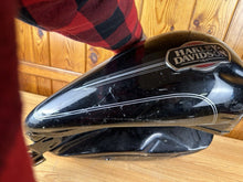 Load image into Gallery viewer, 44445996