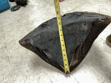 Load image into Gallery viewer, 44445335