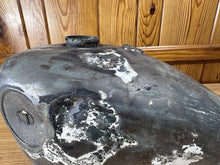 Load image into Gallery viewer, 44445249