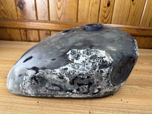 Load image into Gallery viewer, 44445249