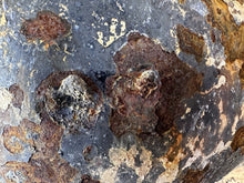 Load image into Gallery viewer, 44445230