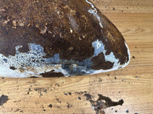 Load image into Gallery viewer, 44445247