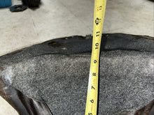 Load image into Gallery viewer, 44445335