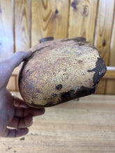 Load image into Gallery viewer, 44445537