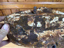 Load image into Gallery viewer, 44445235