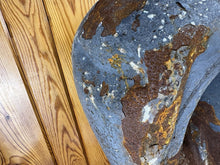 Load image into Gallery viewer, 44445256