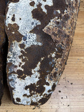 Load image into Gallery viewer, 44445247