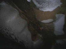 Load image into Gallery viewer, 44446221

